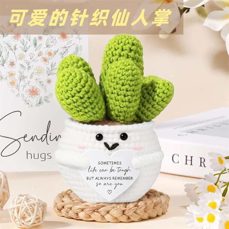ハグインアマグセルフケアギフトセット　ニットサボテンスパバス - Spa Wellness Usa のレビューと価格